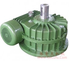 TPS平麵包絡(luò)環(huán)麵蝸桿減速機(jī)