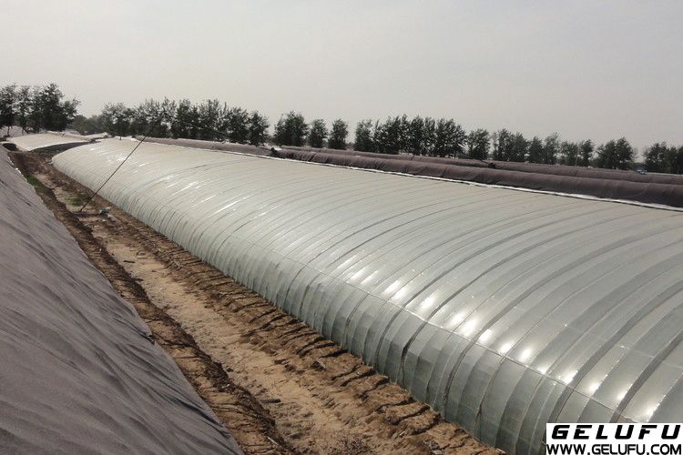 格魯夫產(chǎn)品：減速機(jī)應(yīng)用於農(nóng)業(yè)種植行業(yè)